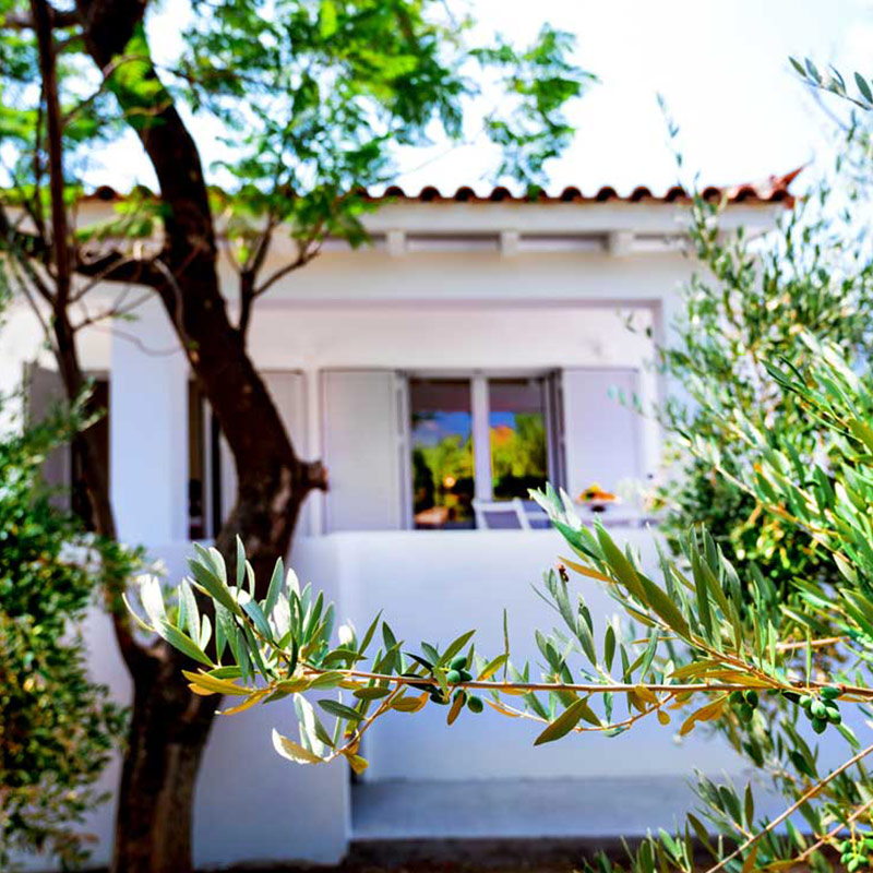 Villa Asterias - Villa Beach Villa Asterias - Villa Beach