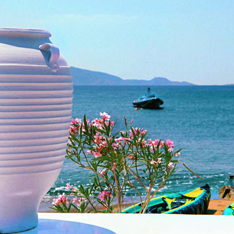 Villa Asterias - Villa Beach Villa Asterias - Villa Beach